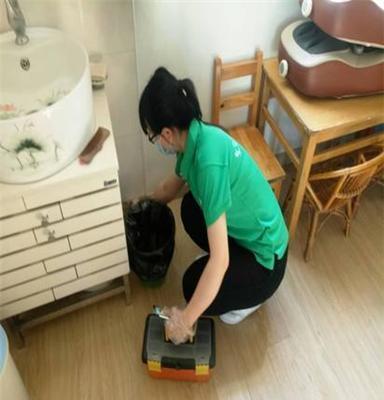 滅蟑螂公司 服務 滅鼠 滅蚊 滅螞蟻 滅蒼蠅 消殺 服務蟲控