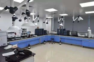 號(hào)外！玉環(huán)市食品藥品檢驗(yàn)檢測中心搬家啦，家政服務(wù)同步煥新